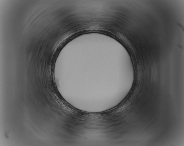 X0000100870831200807181234