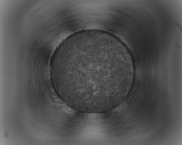 X0000100870832200807181234
