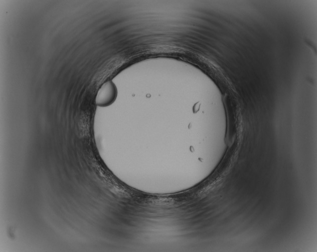 X0000100870833200807181234
