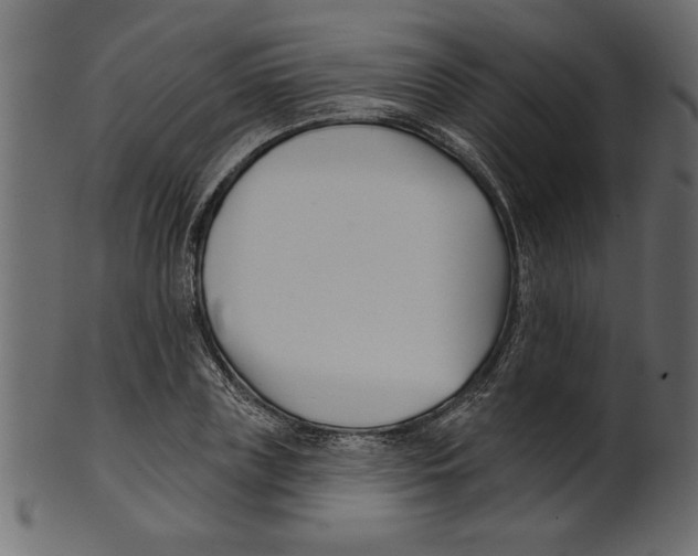 X0000100870835200807181234