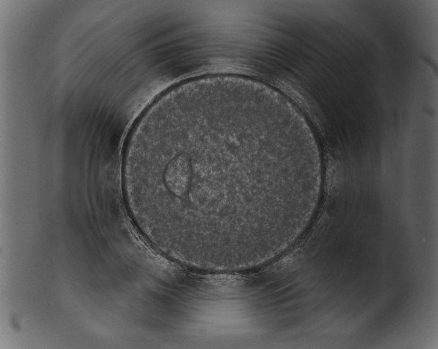 X0000100870836200807181234