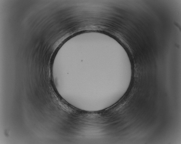 X0000100870837200807181234