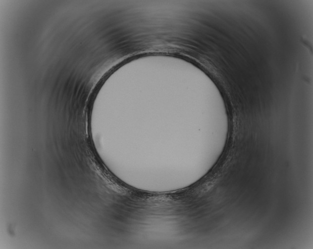 X0000100870838200807181234