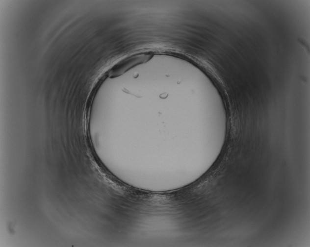 X0000100870839200807181234