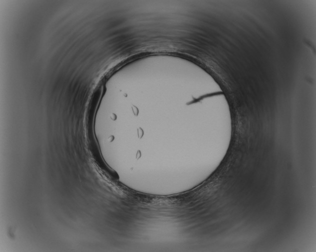 X0000100870840200807181234