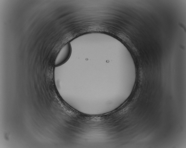 X0000100870841200807181234