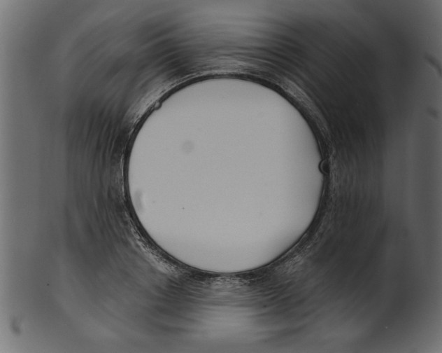 X0000100870842200807181235