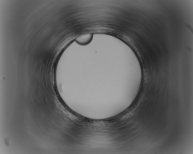 X0000100870843200807181235
