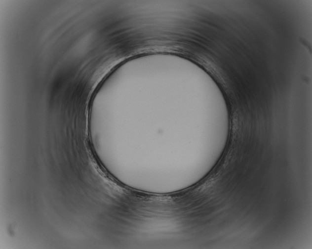 X0000100870844200807181235