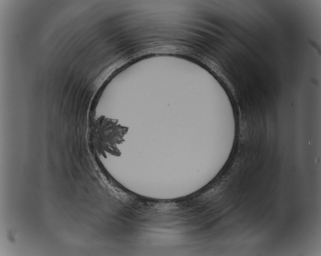 X0000100870845200807181235