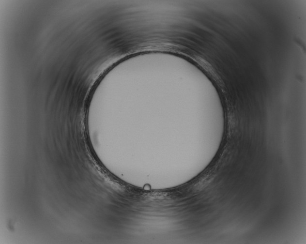 X0000100870846200807181235