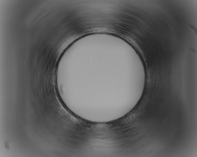 X0000100870847200807181235