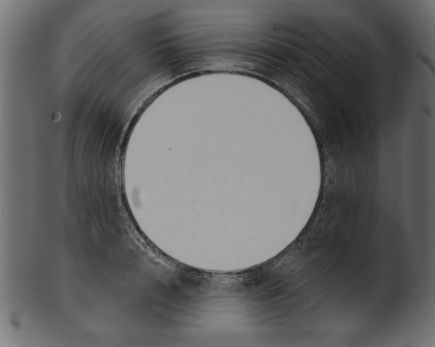 X0000100870848200807181235