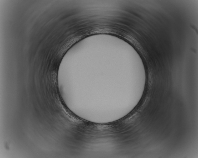 X0000100870849200807181235