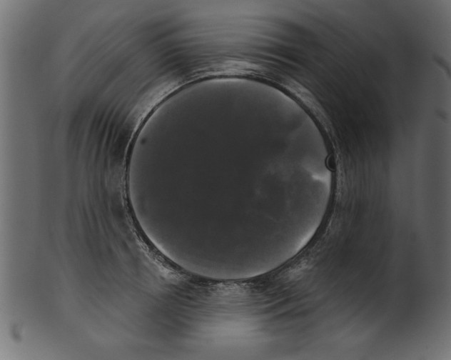 X0000100870850200807181235