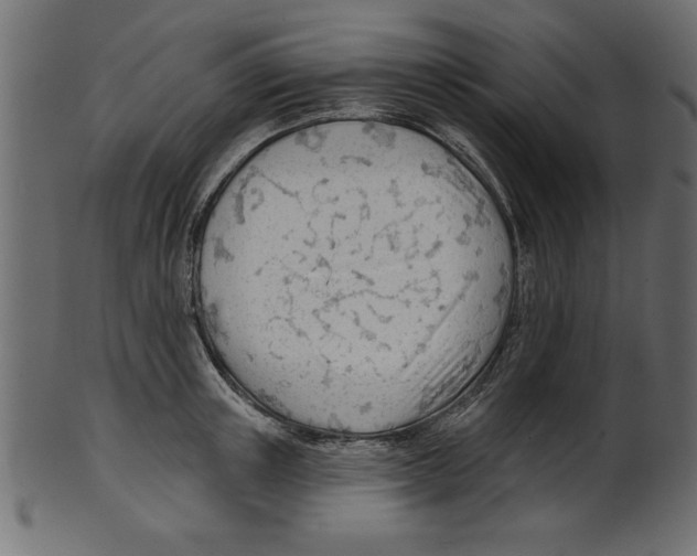 X0000100870851200807181235