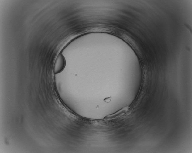 X0000100870852200807181235
