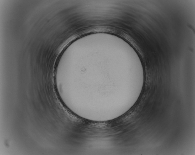 X0000100870853200807181235