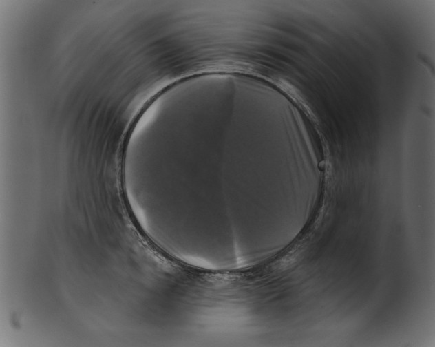 X0000100870854200807181235
