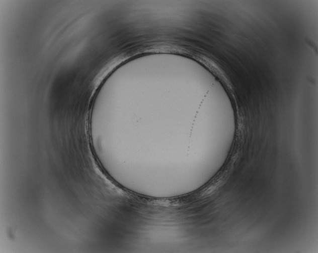 X0000100870855200807181235