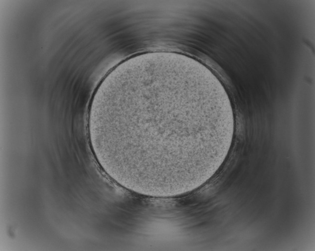 X0000100870856200807181235