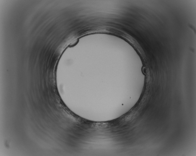 X0000100870858200807181235
