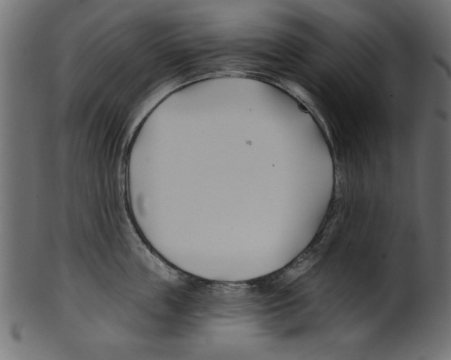 X0000100870859200807181235
