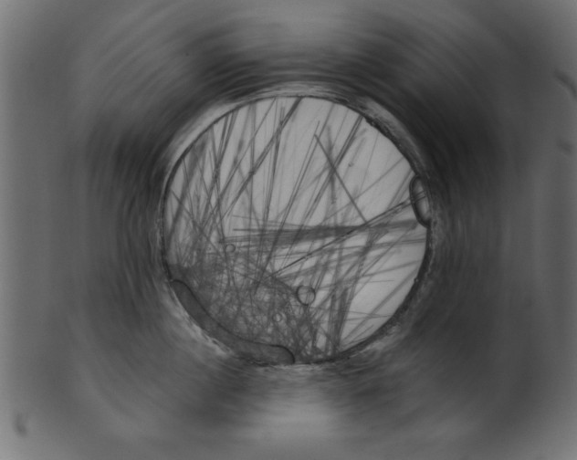 X0000100870860200807181235