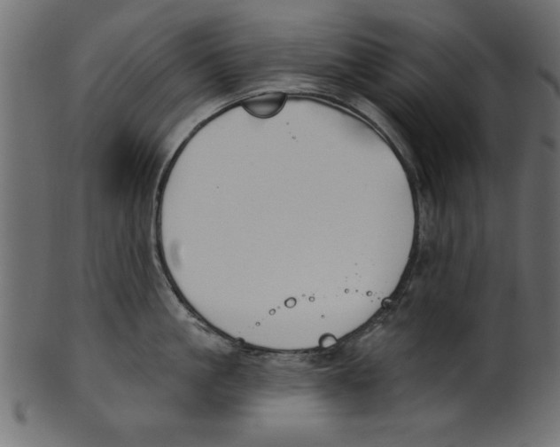 X0000100870861200807181235