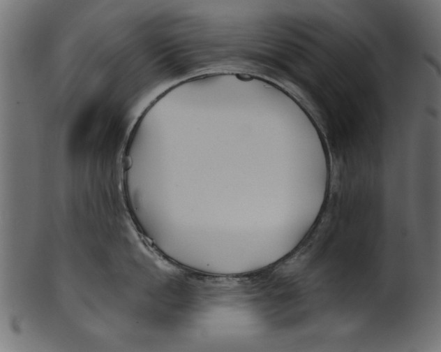 X0000100870862200807181235