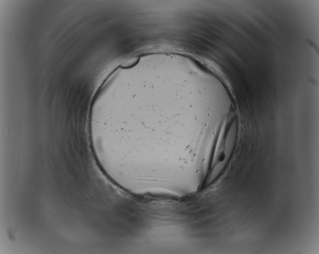 X0000100870863200807181235