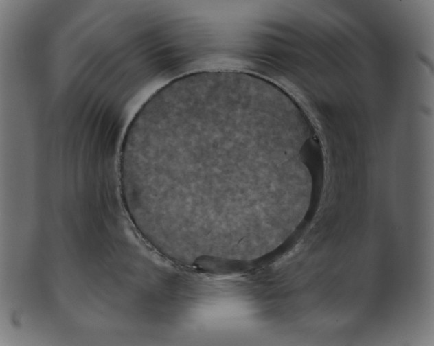 X0000100870864200807181235