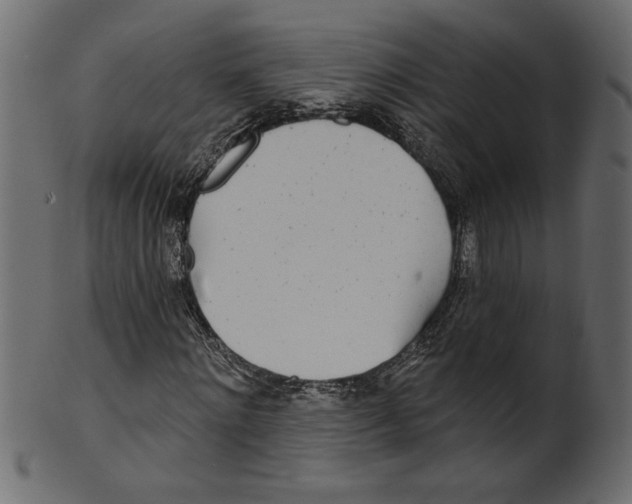 X0000100870868200807181234