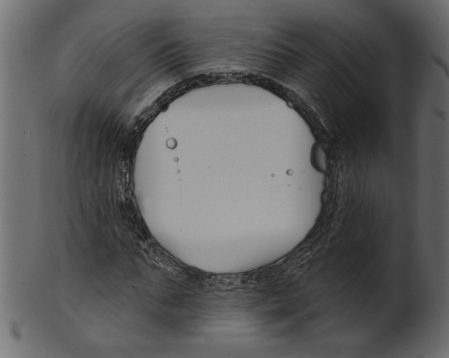 X0000100870871200807181234
