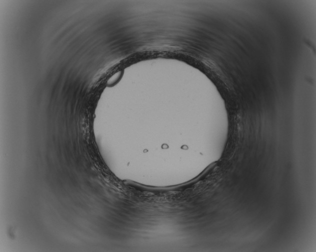 X0000100870872200807181234