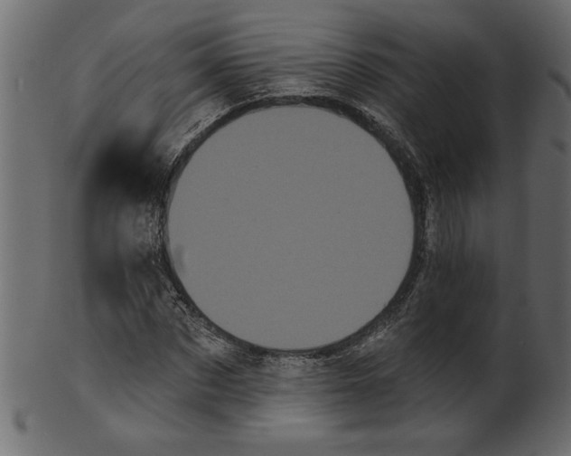 X0000100870873200807181234
