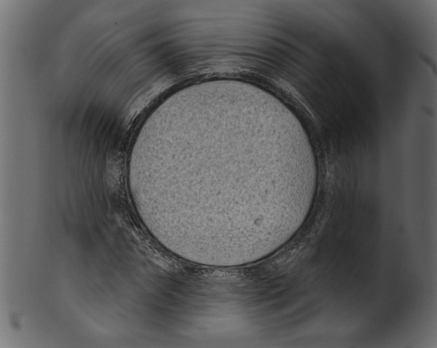 X0000100870874200807181234