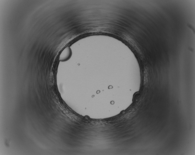 X0000100870876200807181234