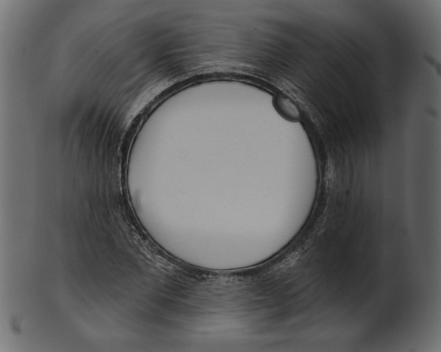 X0000100870877200807181234