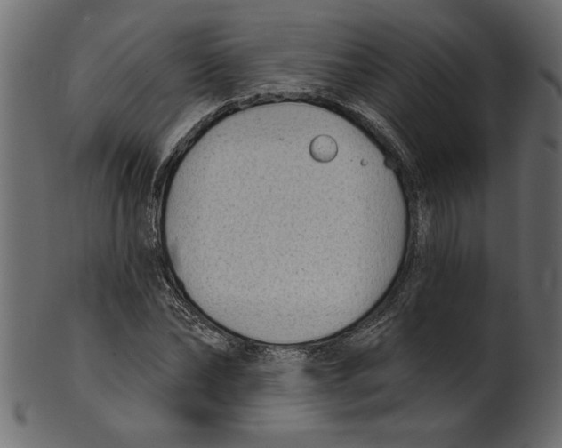 X0000100870878200807181234