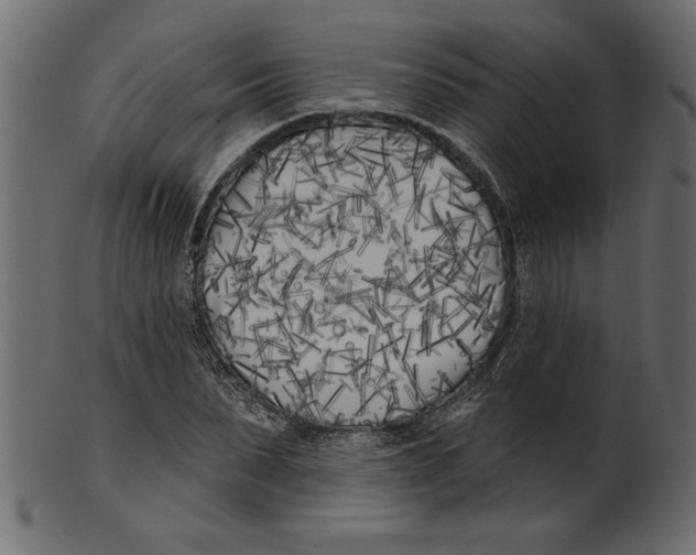 X0000100870879200807181234