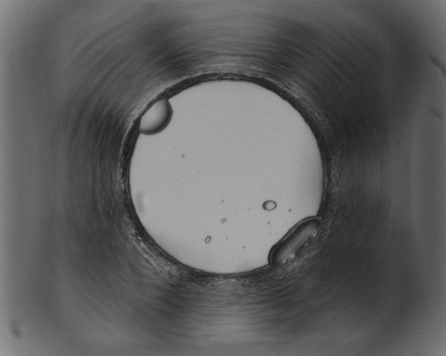 X0000100870880200807181234