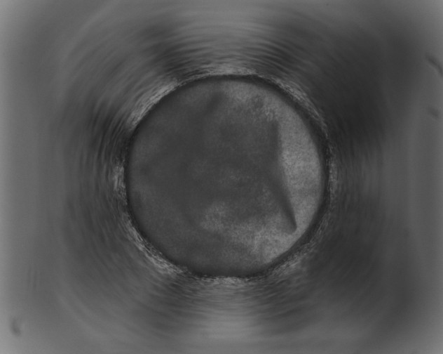 X0000100870881200807181234