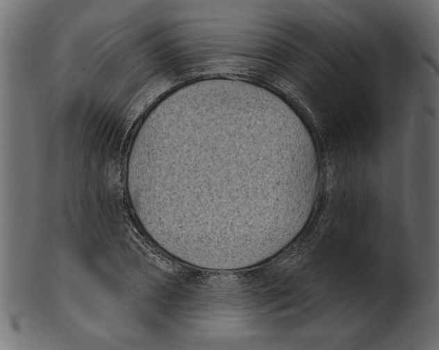 X0000100870882200807181234
