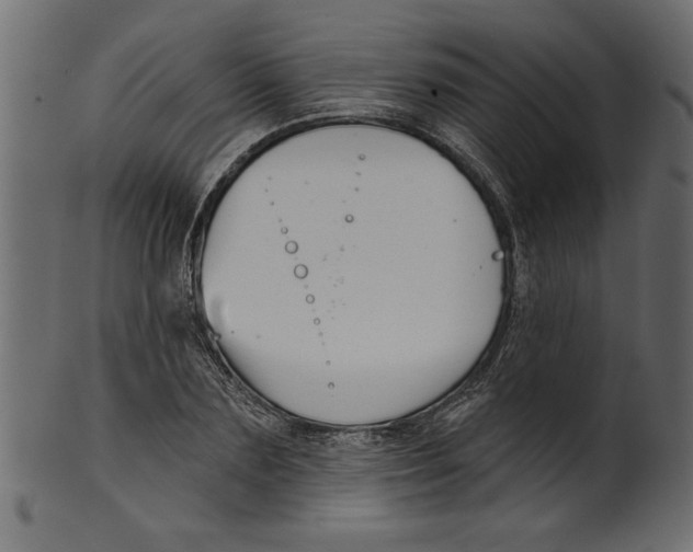 X0000100870883200807181234