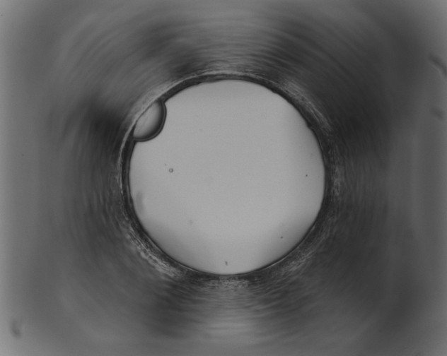 X0000100870884200807181234