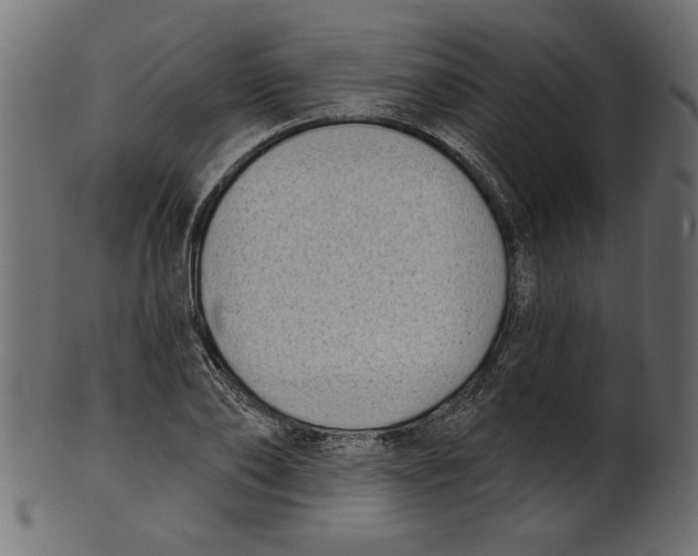 X0000100870886200807181234