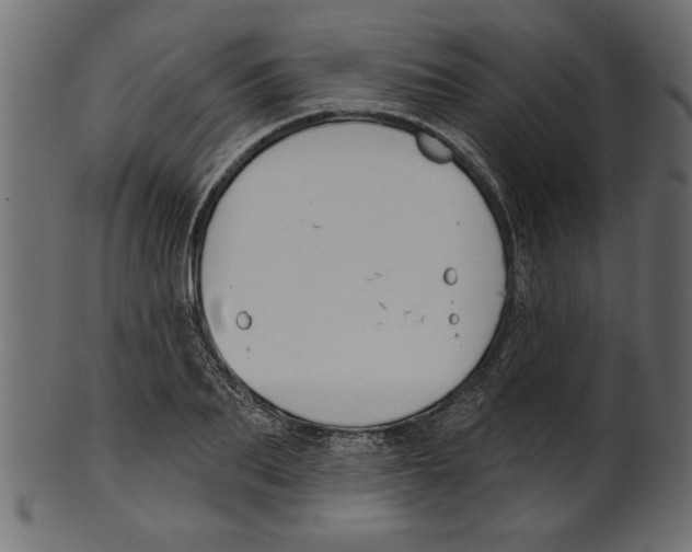 X0000100870887200807181234