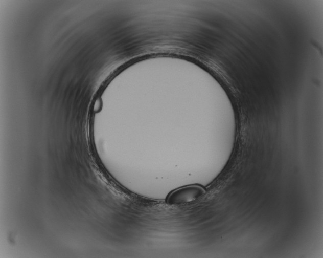 X0000100870888200807181234