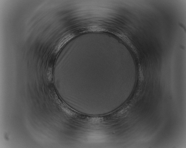 X0000100870889200807181234